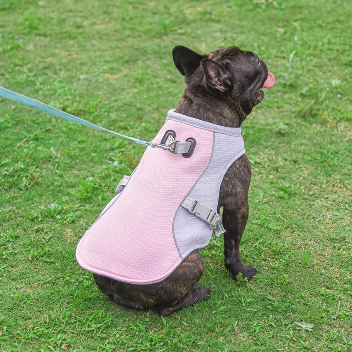 ChillPaw™ Cooling Vest – On-the-Go Heat Relief for Dogs