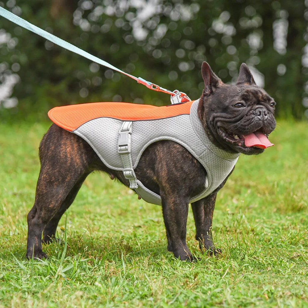 ChillPaw™ Cooling Vest – On-the-Go Heat Relief for Dogs