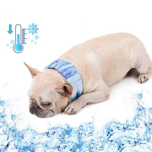 ChillPaw™ Cooling Bandana – Instant Neck Relief for Walks